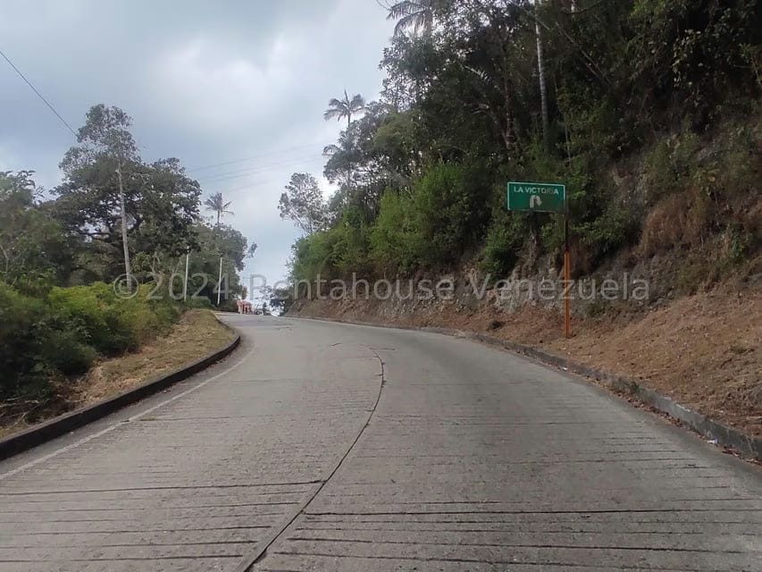 Terreno (Residencial) en Venta en La Colonia Tovar, Aragua - 18