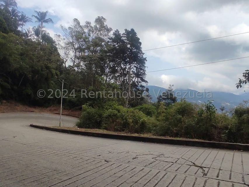 Terreno (Residencial) en Venta en La Colonia Tovar, Aragua - 20