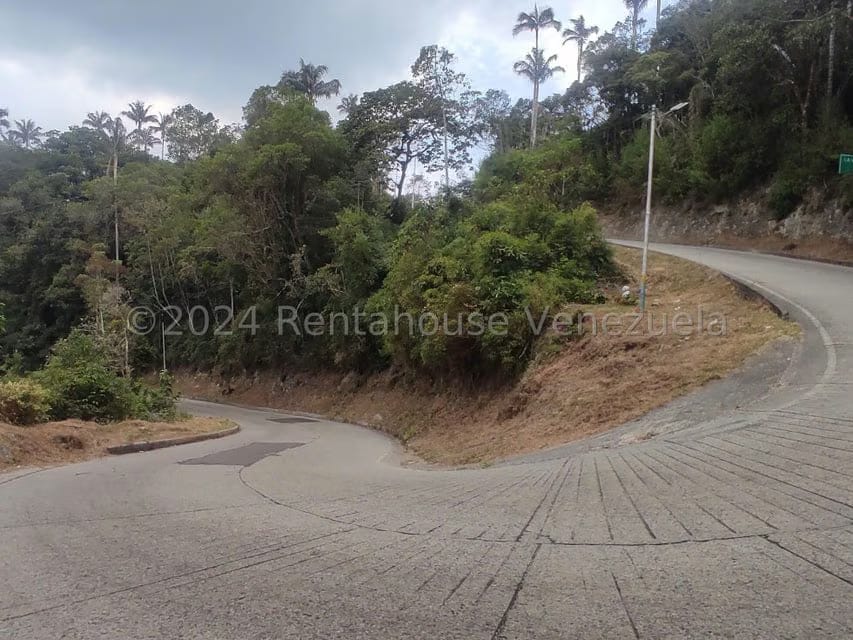 Terreno (Residencial) en Venta en La Colonia Tovar, Aragua - 3