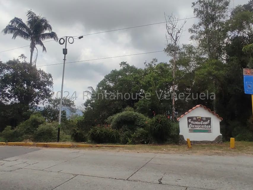 Terreno (Residencial) en Venta en La Colonia Tovar, Aragua - 25
