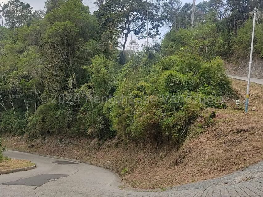 Terreno (Residencial) en Venta en La Colonia Tovar, Aragua - 29