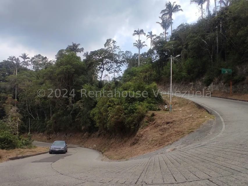 Terreno (Residencial) en Venta en La Colonia Tovar, Aragua - 4