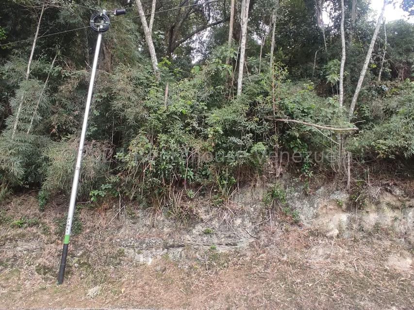 Terreno (Residencial) en Venta en La Colonia Tovar, Aragua - 8