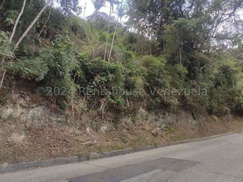 Terreno (Residencial) en Venta en La Colonia Tovar, Aragua - 9