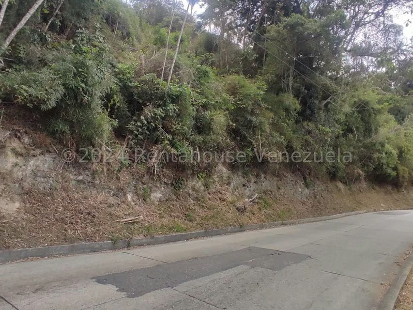 Terreno (Residencial) en Venta en La Colonia Tovar, Aragua - 10