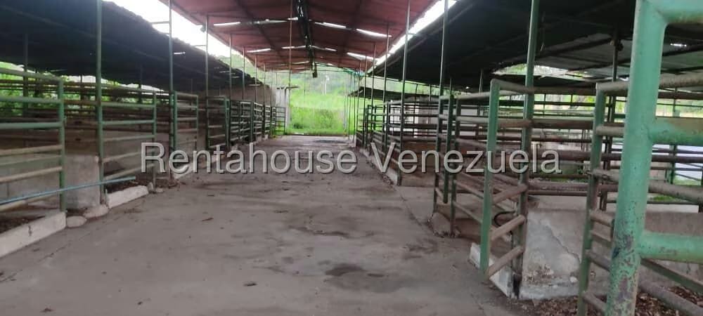 Terreno (Finca) en Venta en Santa Lucia, Miranda - 8
