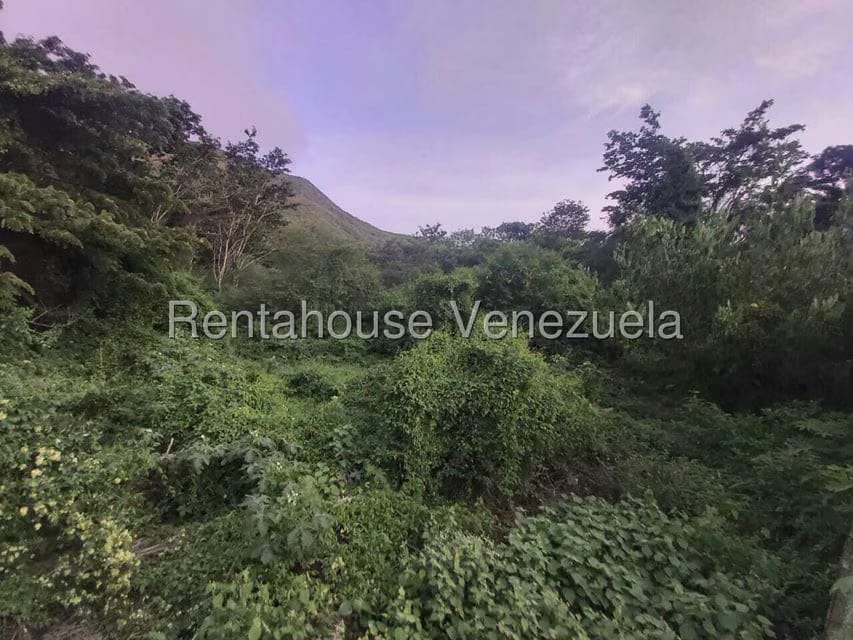 Terreno (Residencial) en Venta en Avenida 31 de Julio, Nueva Esparta - 11