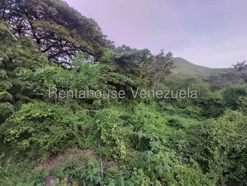 Terreno (Residencial) en Venta en Avenida 31 de Julio, Nueva Esparta - 8