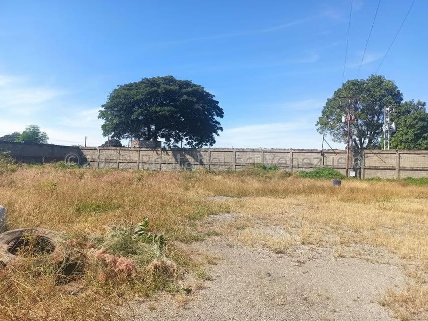 Comercial (Galpon - Deposito) en Alquiler en El Macaro, Aragua - 6