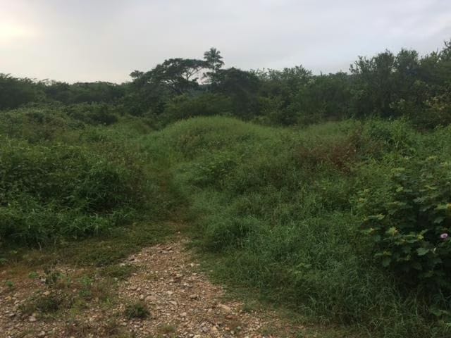 Terreno (Residencial) en Venta en Monteserino, Carabobo - 4