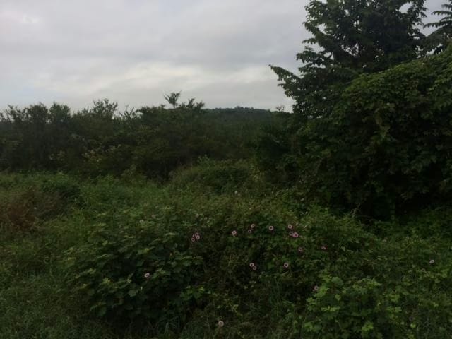 Terreno (Residencial) en Venta en Monteserino, Carabobo - 5