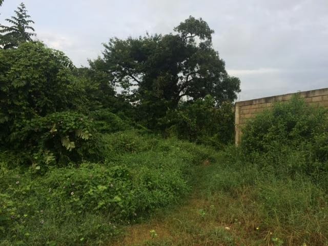 Terreno (Residencial) en Venta en Monteserino, Carabobo - 6