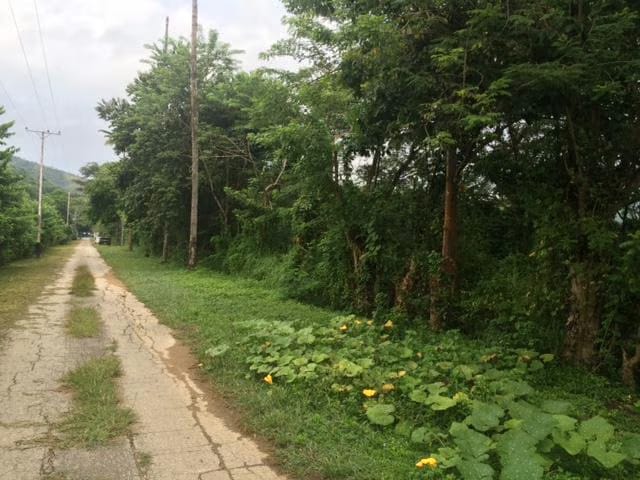 Terreno (Residencial) en Venta en Monteserino, Carabobo - 8