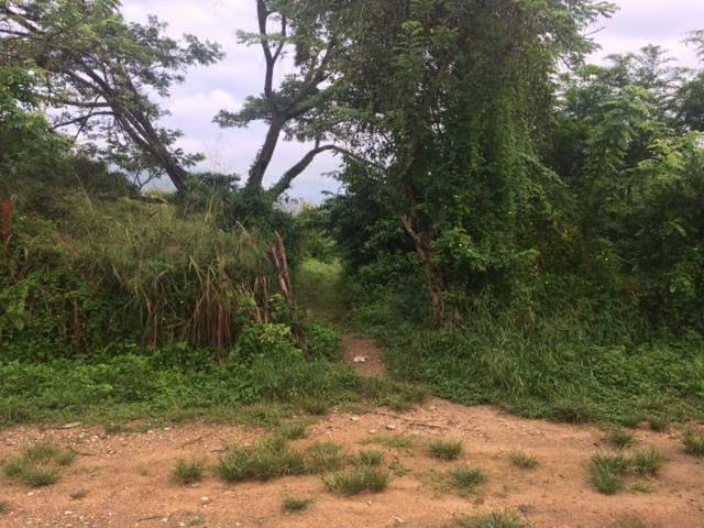 Terreno (Residencial) en Venta en Monteserino, Carabobo - 9