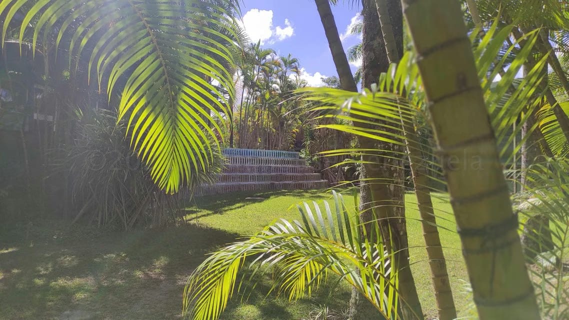 Comercial (Oficina) en Alquiler en Terrazas del Avila, Distrito Metropolitano - 13