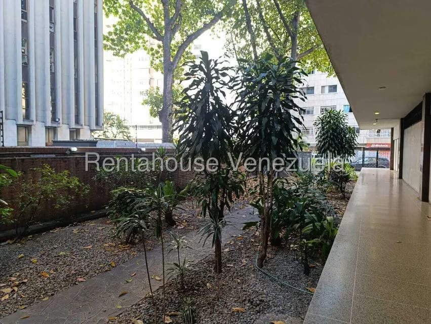 Apartamento (1 Nivel) en Alquiler en Los Palos Grandes, Distrito Metropolitano - 3