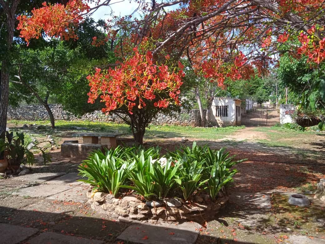 Casa granja. Aguaviva. Vía al parque nacional ter