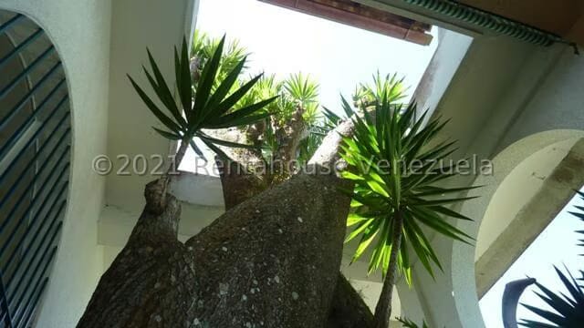 Casa (Multipes Niveles) en Venta en El Placer, Distrito Metropolitano - 29