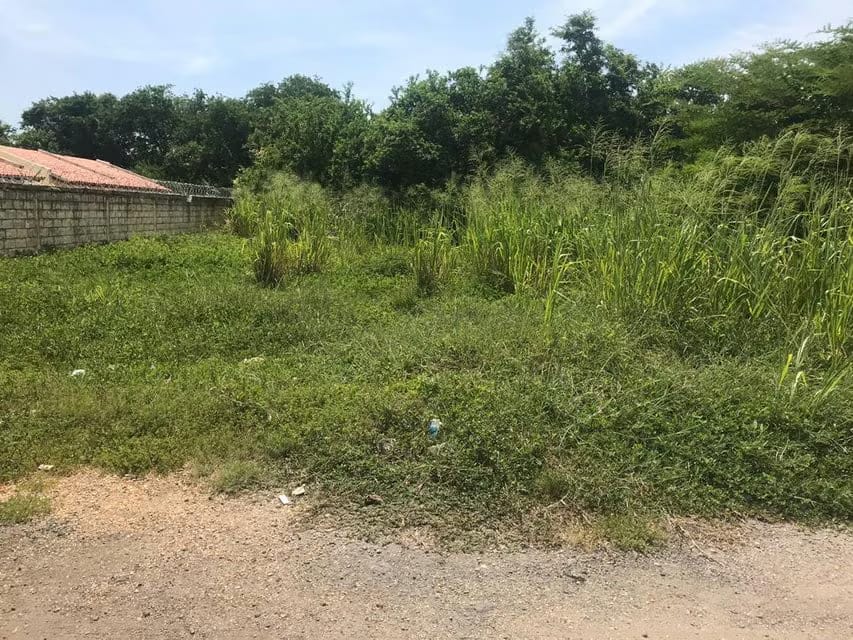 Terreno (Residencial) en Venta en Tucacas, Falcon