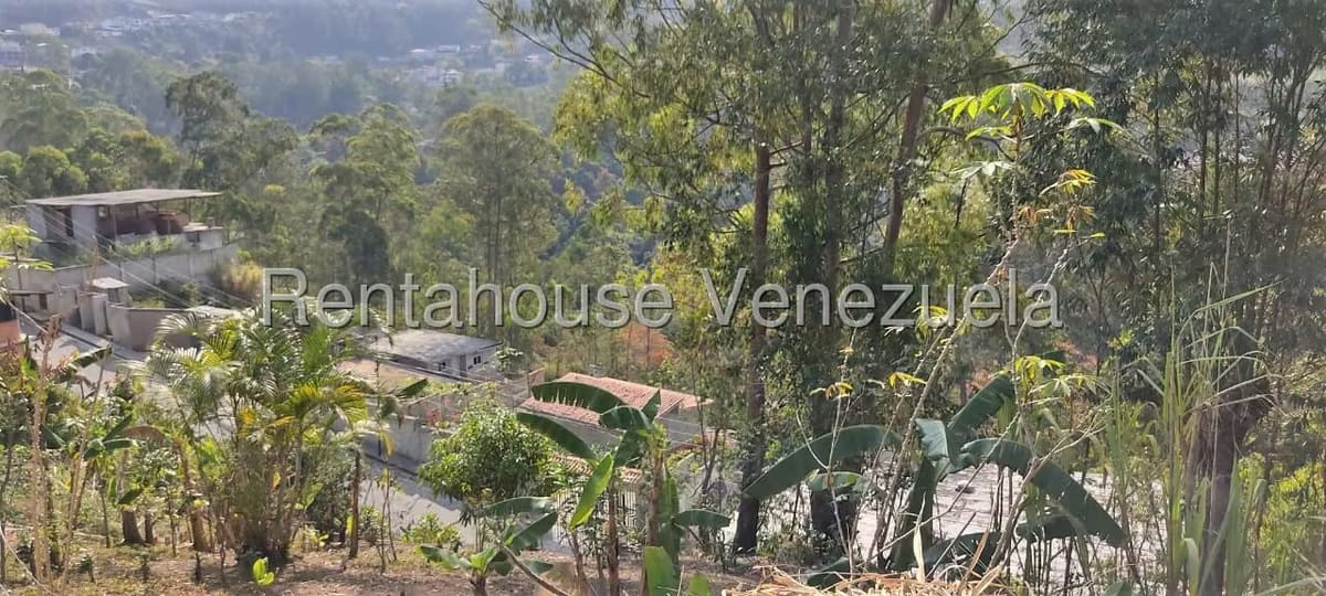 Terreno (Residencial) en Venta en Colinas de Carrizal, Miranda - 17