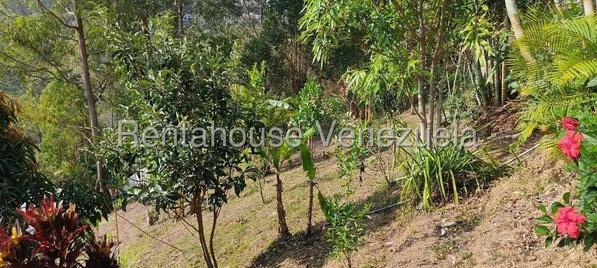 Terreno (Residencial) en Venta en Colinas de Carrizal, Miranda - 20