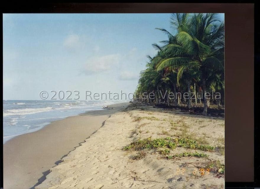 Terreno (Finca) en Venta en Playa Pintada, Miranda - 2