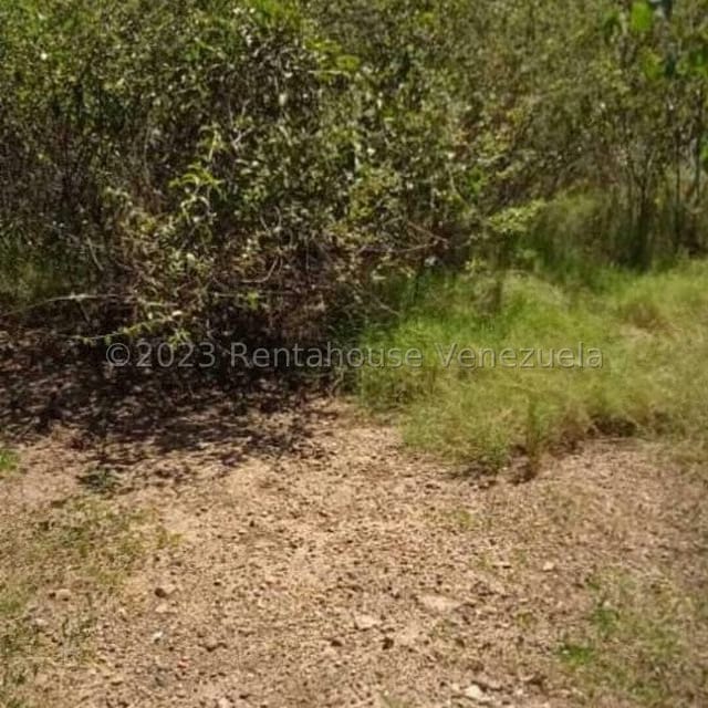 Terreno (Finca) en Venta en Playa Pintada, Miranda - 11