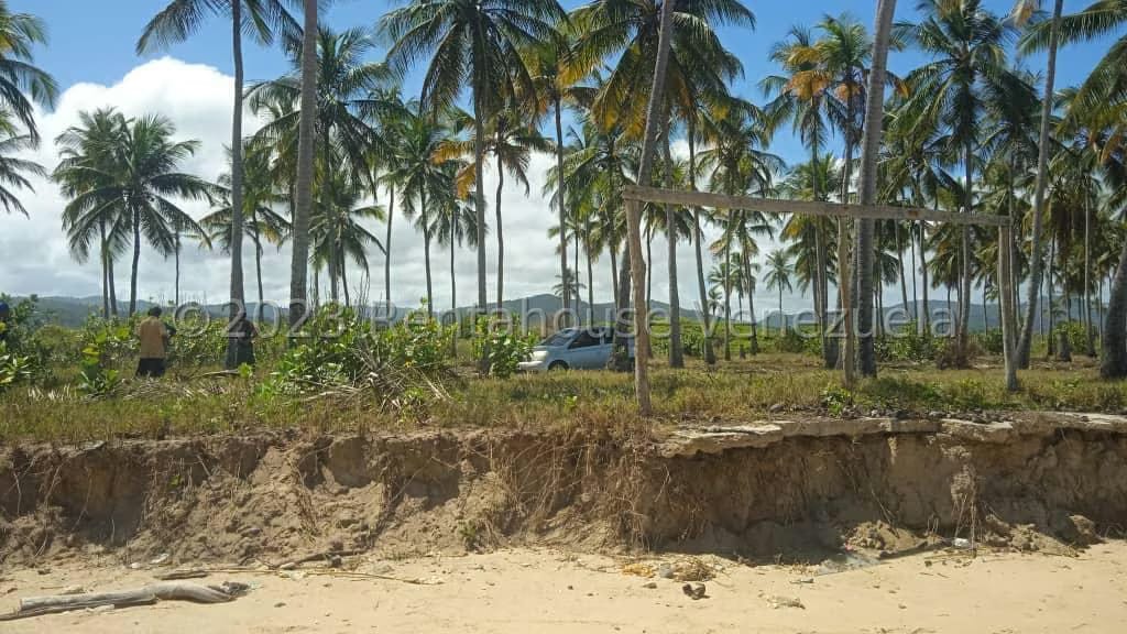 Terreno (Finca) en Venta en Playa Pintada, Miranda - 3