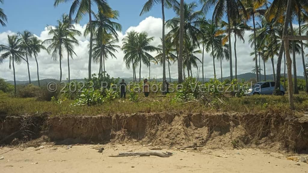 Terreno (Finca) en Venta en Playa Pintada, Miranda - 5