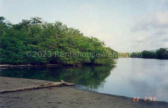 Terreno (Finca) en Venta en Playa Pintada, Miranda - 8
