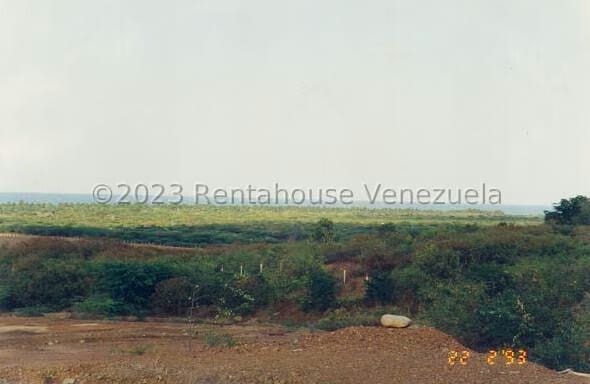 Terreno (Finca) en Venta en Playa Pintada, Miranda - 9