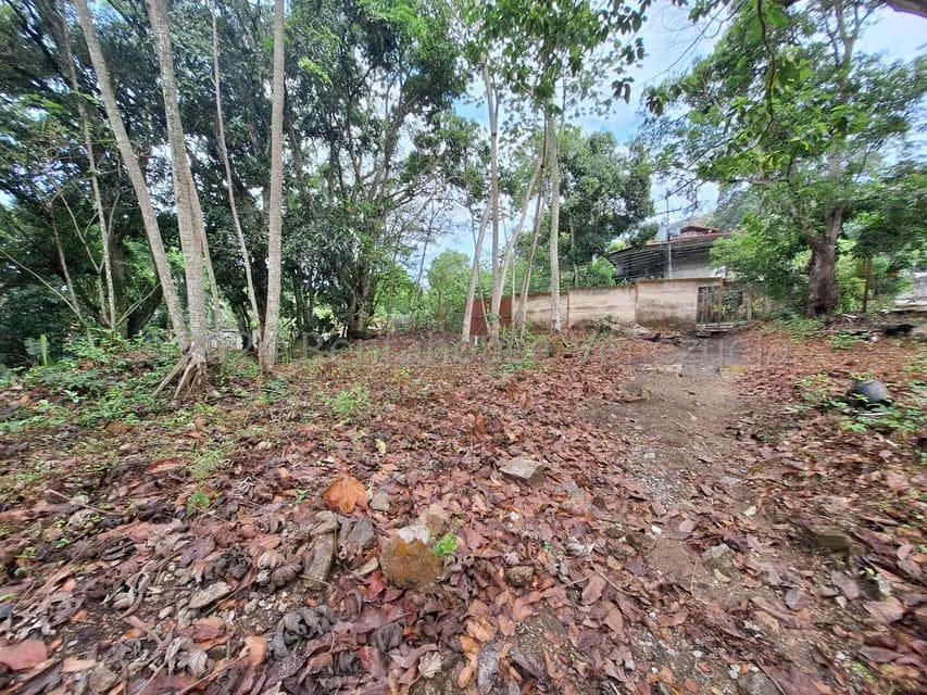 Terreno (Residencial) en Venta en El Castaño (Zona Privada), Aragua - 12