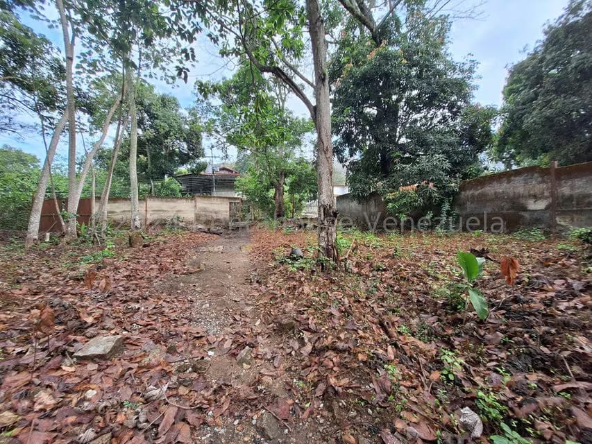 Terreno (Residencial) en Venta en El Castaño (Zona Privada), Aragua - 13