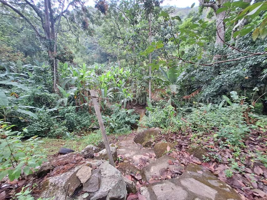 Terreno (Residencial) en Venta en El Castaño (Zona Privada), Aragua - 17