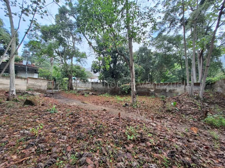 Terreno (Residencial) en Venta en El Castaño (Zona Privada), Aragua - 19