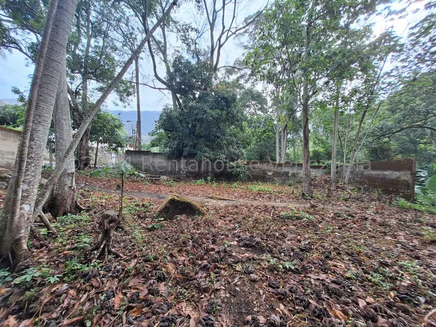 Terreno (Residencial) en Venta en El Castaño (Zona Privada), Aragua - 21