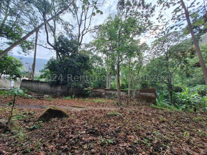 Terreno (Residencial) en Venta en El Castaño (Zona Privada), Aragua - 22