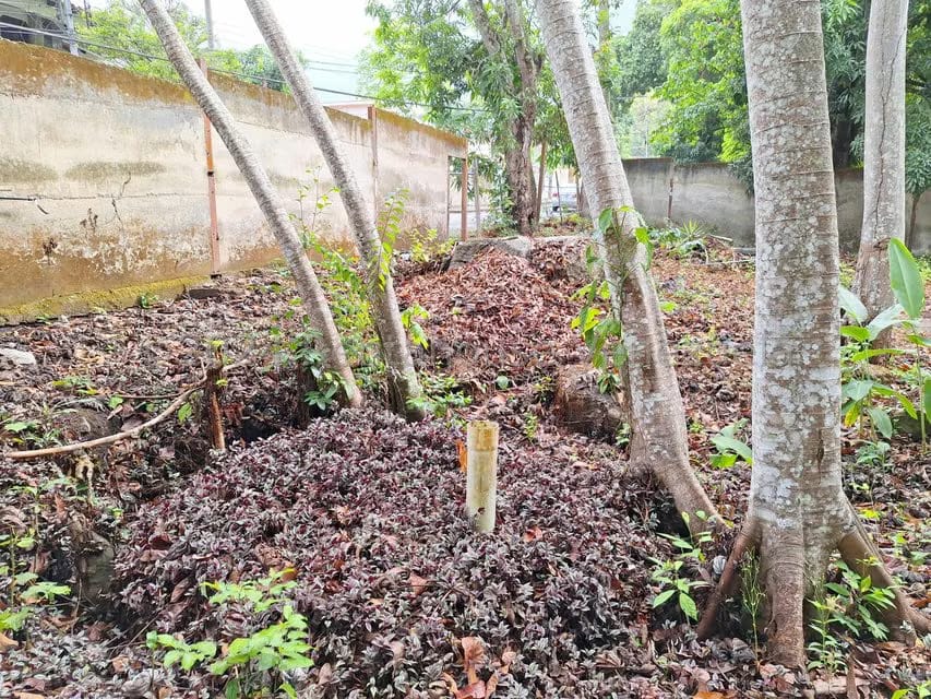 Terreno (Residencial) en Venta en El Castaño (Zona Privada), Aragua - 24