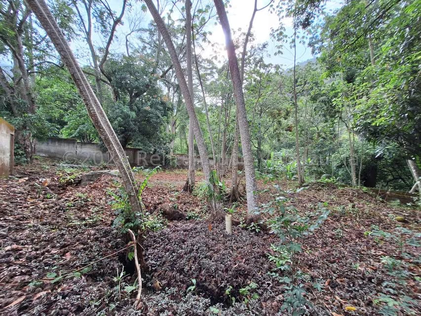 Terreno (Residencial) en Venta en El Castaño (Zona Privada), Aragua - 25