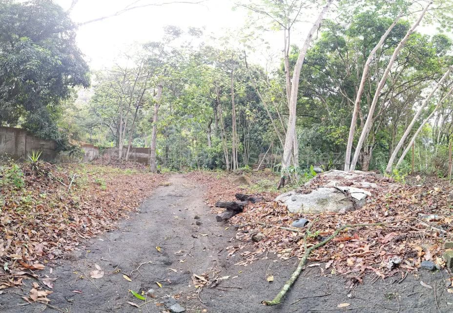 Terreno (Residencial) en Venta en El Castaño (Zona Privada), Aragua - 37