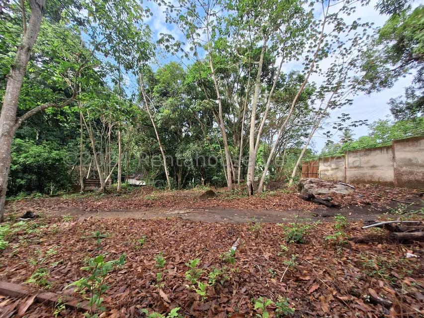 Terreno (Residencial) en Venta en El Castaño (Zona Privada), Aragua - 6