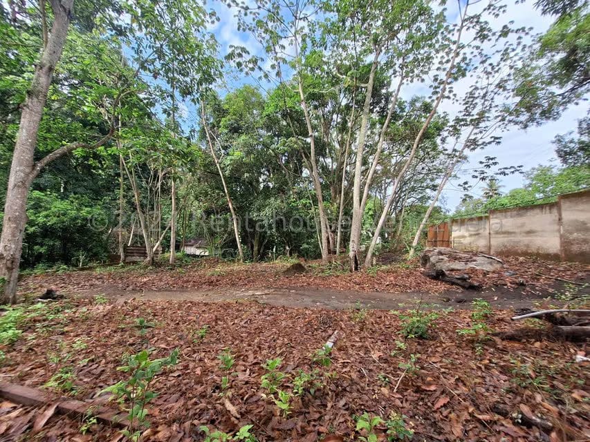 Terreno (Residencial) en Venta en El Castaño (Zona Privada), Aragua - 7