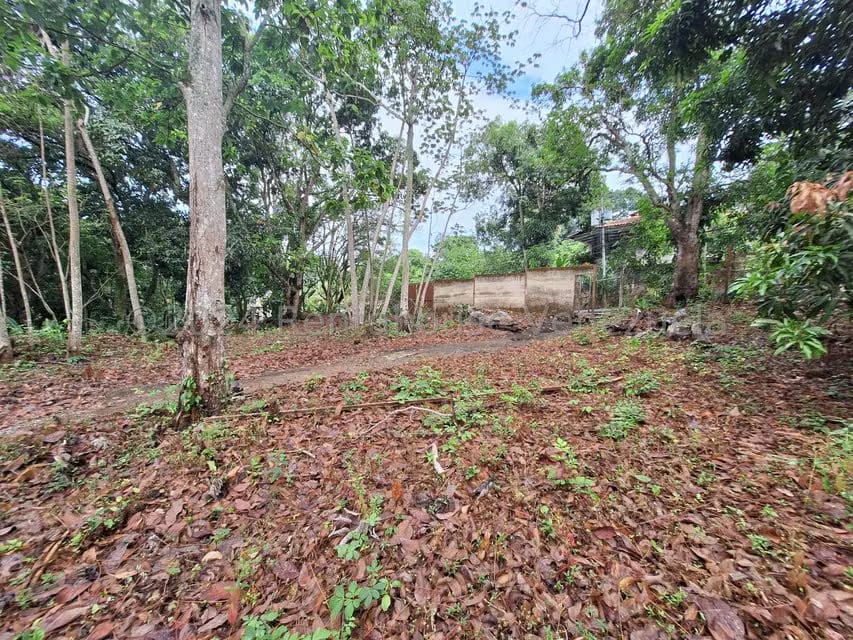 Terreno (Residencial) en Venta en El Castaño (Zona Privada), Aragua - 10