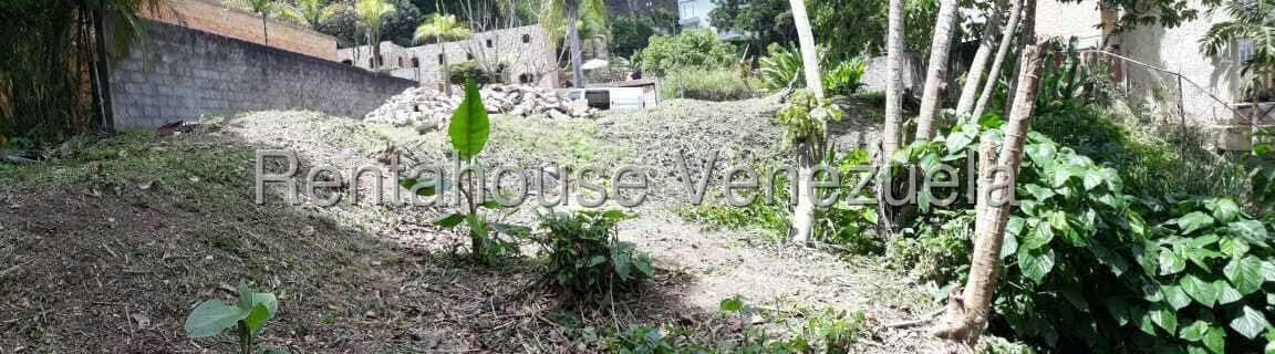 Terreno (Residencial) en Venta en Parque Oripoto, Distrito Metropolitano - 15