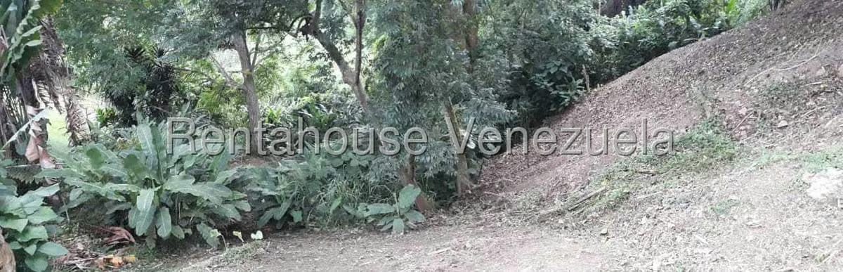 Terreno (Residencial) en Venta en Parque Oripoto, Distrito Metropolitano - 21
