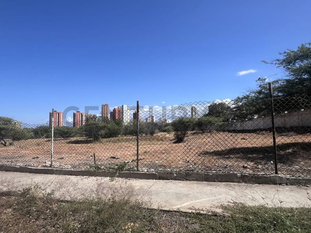 Terreno - 2