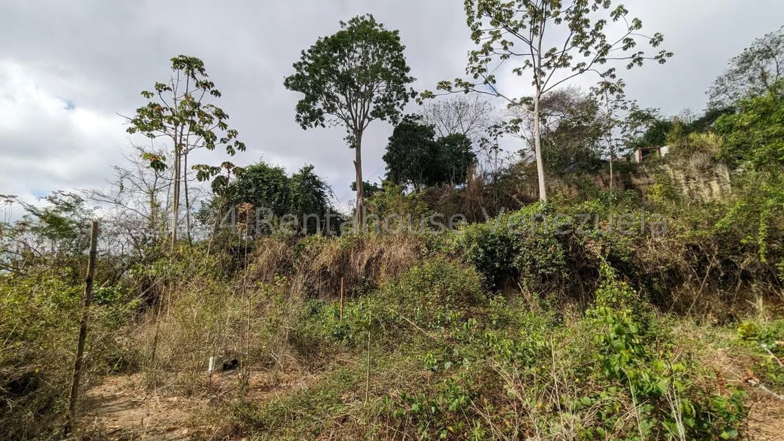 Terreno (Residencial) en Venta en Corralito, Distrito Metropolitano - 14