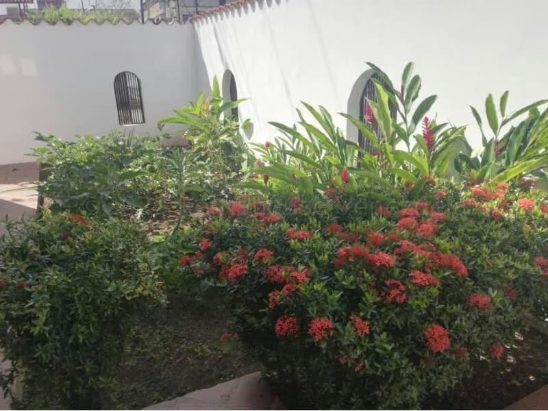 Casa (Duplex) en Venta en El Mangle, Sucre - 2