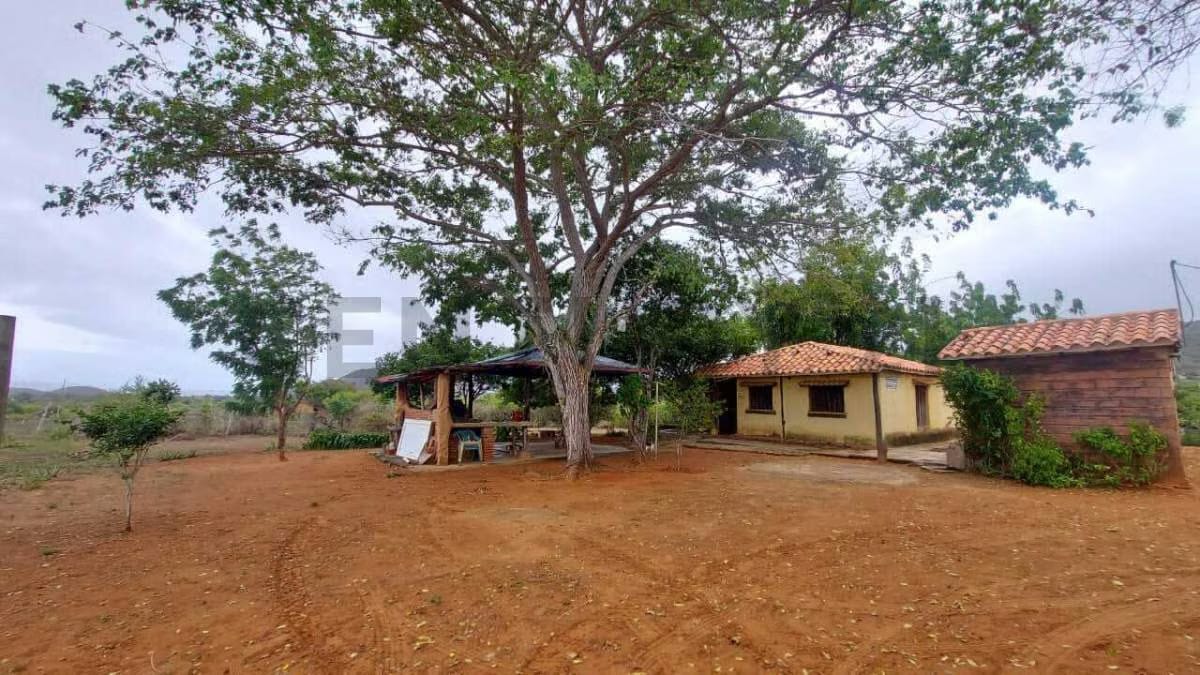 Terreno Agrícola con Casa ARICAGUA MARGARITA - 22
