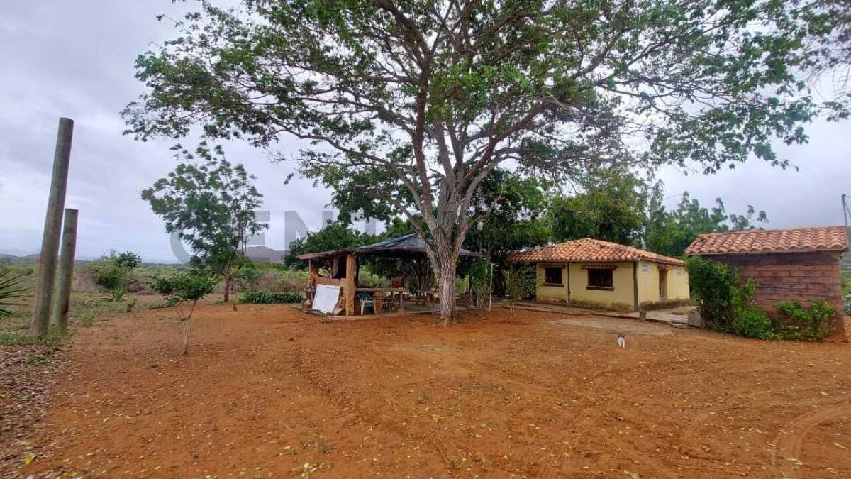 Terreno Agrícola con Casa ARICAGUA MARGARITA - 23